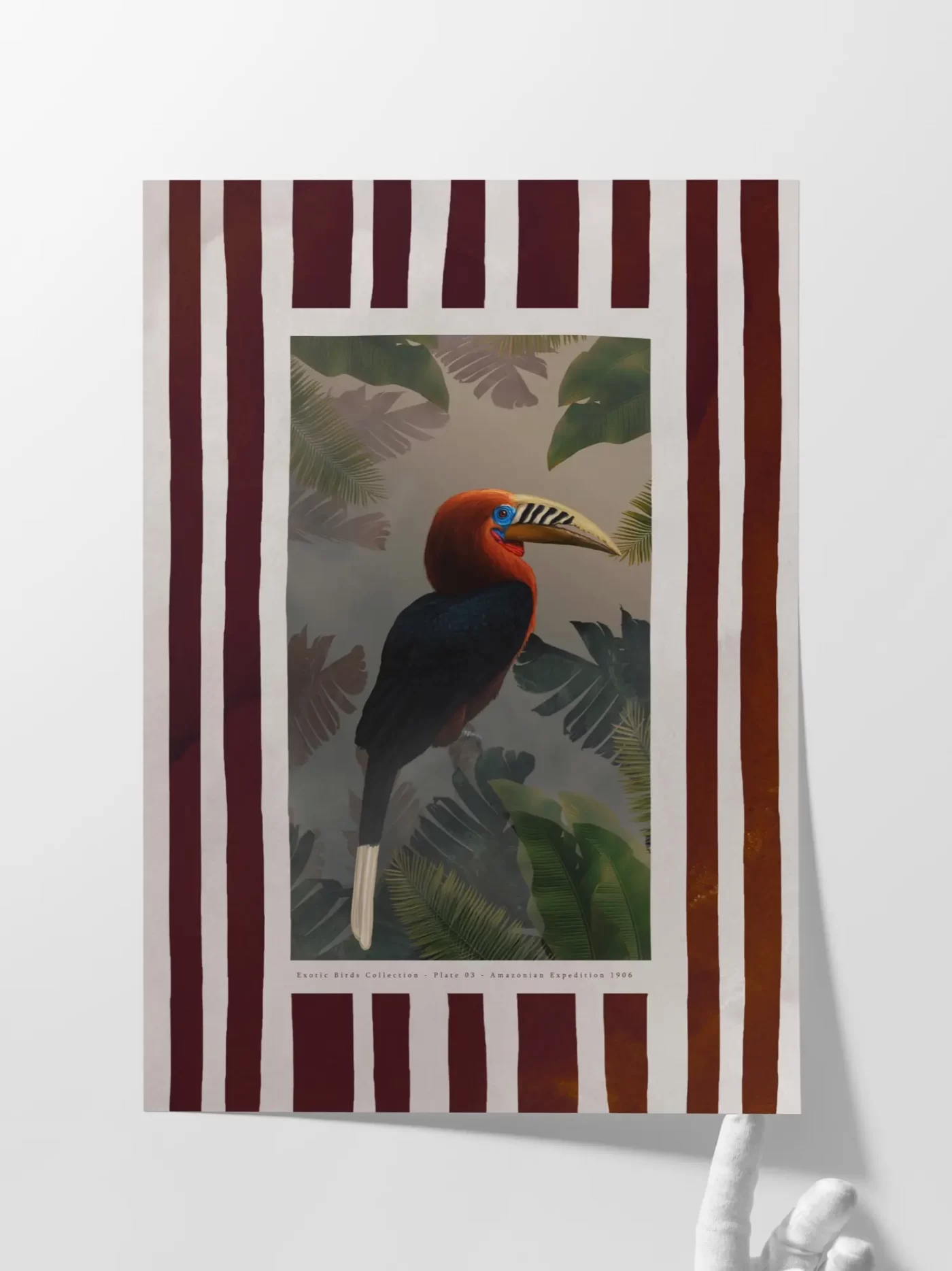 Quadro Exotic Birds 02